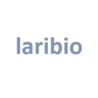 laribio consulting logo - Similar company to Select Franchises
