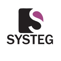 systeg mx logo - Similar company to Software Industry Excellence Center De México, S.C.