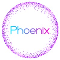 Phoenix Specialised Youth and Disability Services logo - Similar company to Yourwebsolution