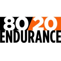 80/20 Endurance logo - Similar company to Cyberalytics Limited