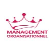 MANAGEMENT ORGANISATIONNEL logo - Similar company to Smart Security Solutions