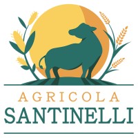 Agricola Santinelli logo - Similar company to Solarfast Service