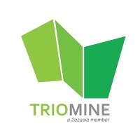 TRIOMINE logo - Similar company to Triominds