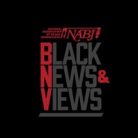 Black News and Views logo - Similar company to Blackpast.Org