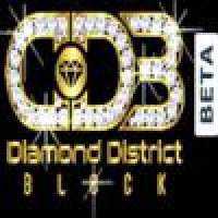 DIAMOND DISTRICT BLOCK logo - Similar company to Humans Of Code