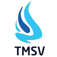 TMSV Edutech Pvt Ltd logo - Similar company to Netplace Ti