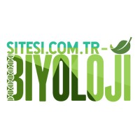 Biyoloji Sitesi logo - Similar company to Hacettepe Üniversitesi Evrimsel Biyoloji Ve Tıp Topluluğu