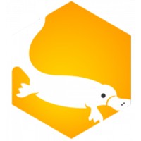 Platyform LLC