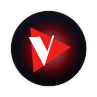 V Group Film Studio logo - Similar company to Brims