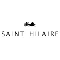 Bruno Saint Hilaire logo - Similar company to Molow