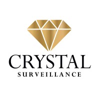 Crystal Surveillance logo - Similar company to Bg Strategy