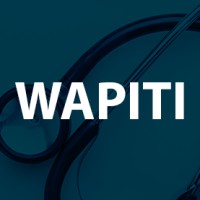 Wapiti Medical Staffing logo - Similar company to Wrightspec, Llc