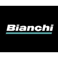 Bianchi Chile S.A logo - Similar company to Hic Financial Advisory