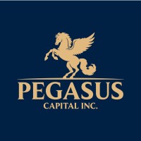Pegasus Capital logo - Similar company to Aimc: Association Of Internal Management Consultants