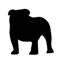 Bulldog Innovation Group, LLC logo - Similar company to Aligned