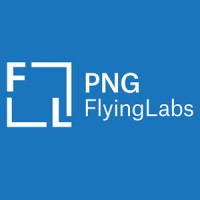 PNG Flying Labs logo - Similar company to Niugini Drone Support