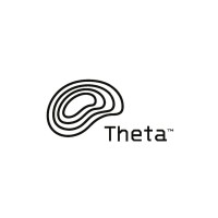Theta Interactive logo - Similar company to Qi Mind