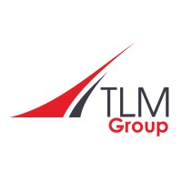 TeleMain logo - Similar company to Prospect Group