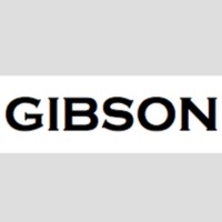 Gibson Consulting logo - Similar company to Lil Spike Tv