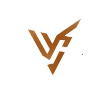 Vero Disruptors Pvt Ltd logo - Similar company to Exadata Systems