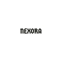 nexora logo - Similar company to Nexora Technologies