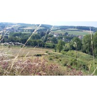 Flora & Fauna Expert logo - Similar company to Simons Botanisch Advies