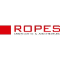 Ropes Gmbh - Engineering & Architecture