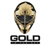 Gold in the Net Hockey Schools logo - Similar company to The Dome