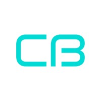 CyberBridge logo - Similar company to Swiftcontrol Systems Llc