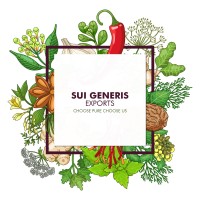 SUI GENERIS EXPORTS logo - Similar company to Divine Interventures, Inc.