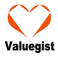 华略Valuegist logo - Similar company to Ga Esg Solutions