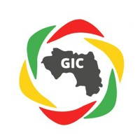 GIC Mines Guinée logo - Similar company to Seta Motors