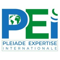 PLEIADE EXPERTISE INTERNATIONALE logo - Similar company to Sorgo