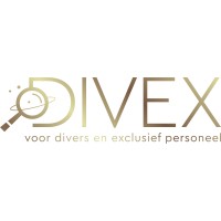 Divex Werving en Selectie logo - Similar company to Data Insidor