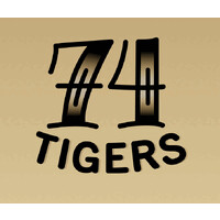 74 Tigers Studio logo - Similar company to Data Terns