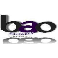 BAO Partners logo - Similar company to Lagos Shirt Factory
