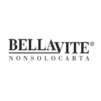 Bellavite NonSoloCarta logo - Similar company to Net Engineering Srl
