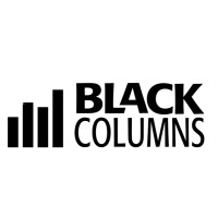 Black Columns LLC logo - Similar company to Black Pillar