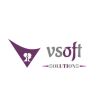 thevsoft solutions logo - Similar company to Sentinix
