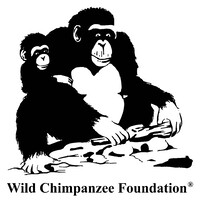Wild Chimpanzee Foundation logo - Similar company to Friends Of Bonobos
