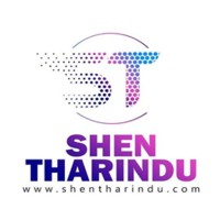 Shen e-Services logo - Similar company to Binaryvast