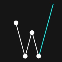 Wasl Insights logo - Similar company to Flexis