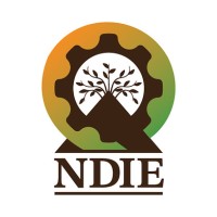 NDIE logo - Similar company to Project Analysis And Documentation Division