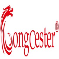 Longcai Group logo - Similar company to Taktilesdesign Gmbh