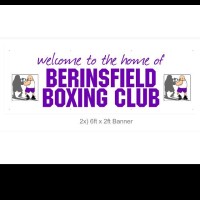 BERINSFIELD AMATEUR BOXING CLUB logo - Similar company to Anarchy! Boxing Studio