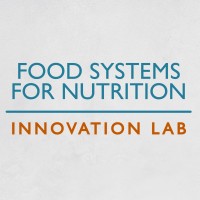 Feed the Future Food Systems for Nutrition Innovation Lab logo - Similar company to 1890 Universities Foundation
