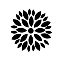 VIGO Kombucha Balkan logo - Similar company to Bio Una Doo