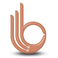 Best Solution® Business Setup Consultancy logo - Similar company to Emirabiz