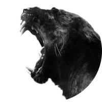Panther logo - Similar company to Charly Event