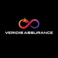 VERIDIS ASSURANCE logo - Similar company to Toledano Solutions